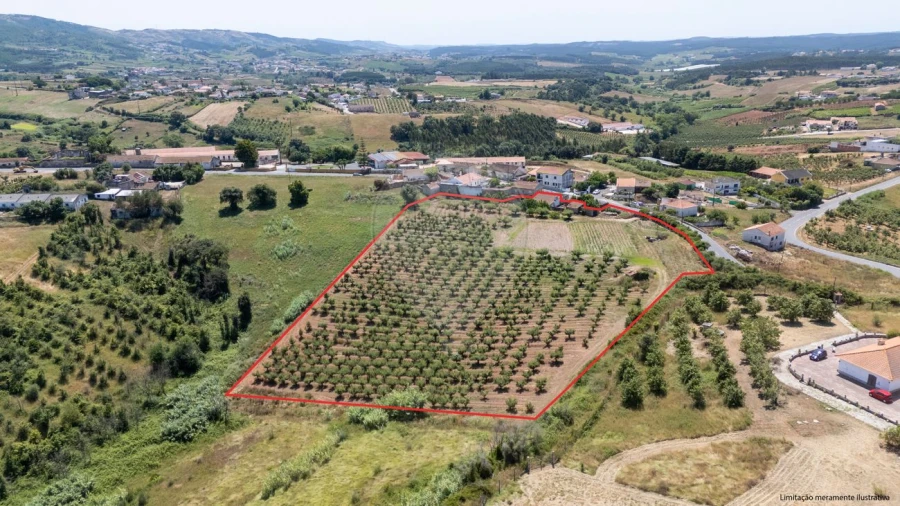 Terreno para Venda em Lamas e Cercal Foto 4