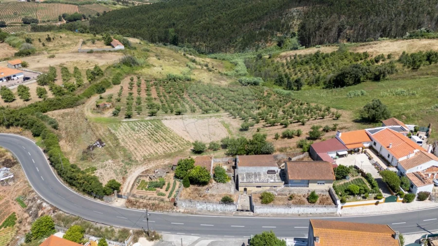 Terreno para Venda em Lamas e Cercal Foto 8