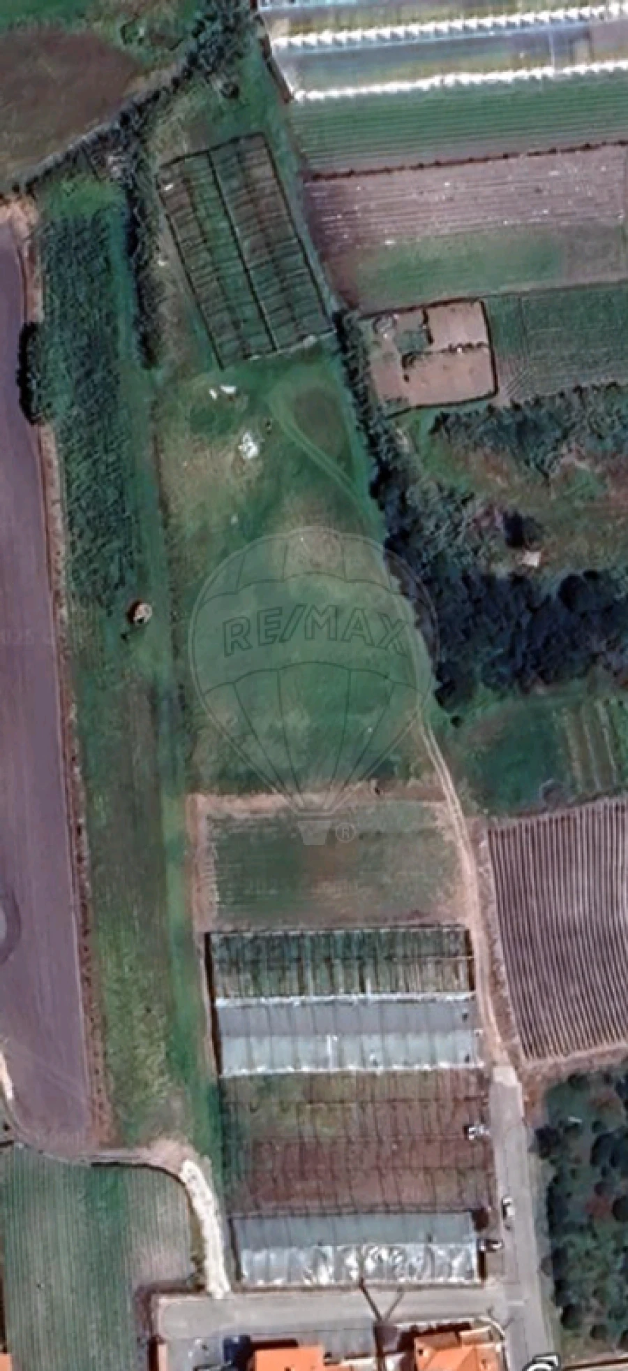 Terreno para Venda em Silveira Foto 2