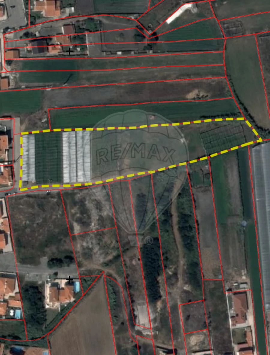 Terreno para Venda em Silveira Foto 3