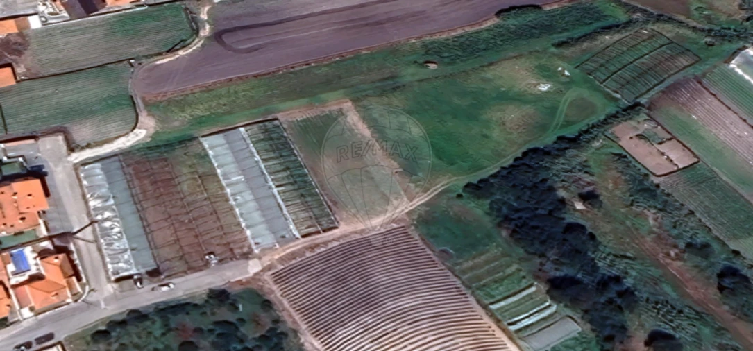 Terreno para Venda em Silveira