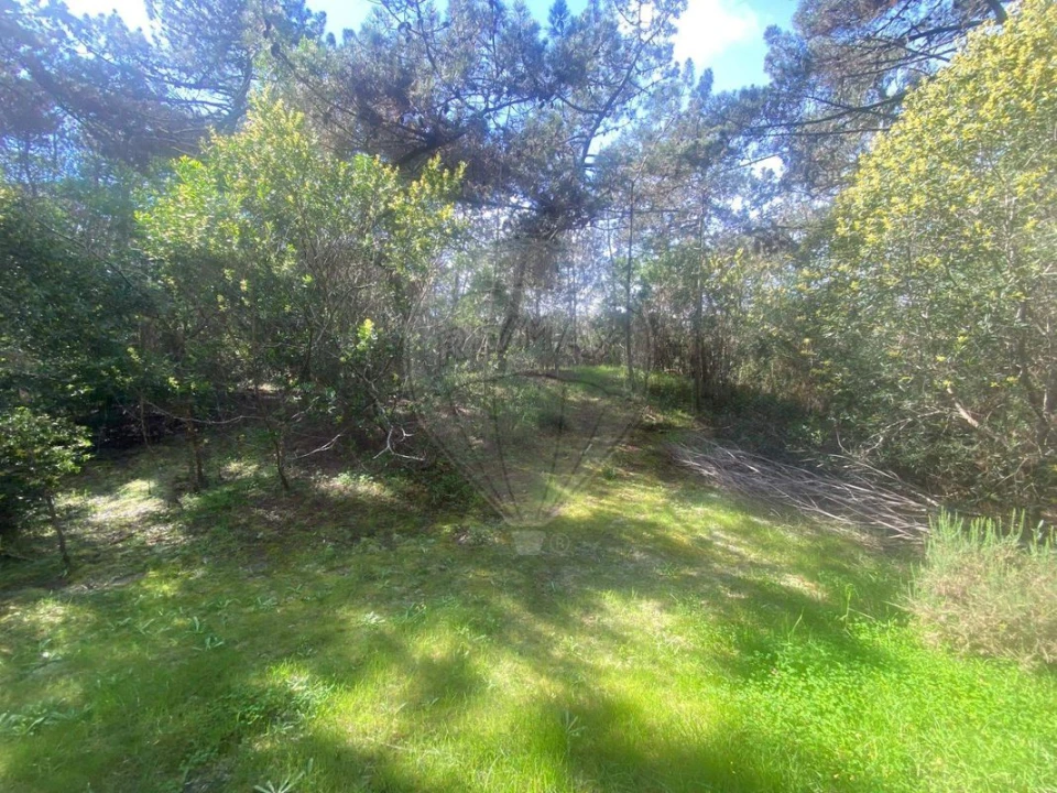 Terreno para Venda em Colares Foto 2