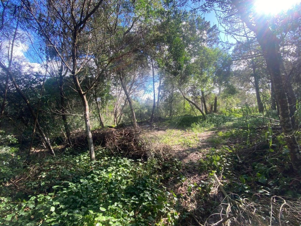 Terreno para Venda em Colares Foto 11