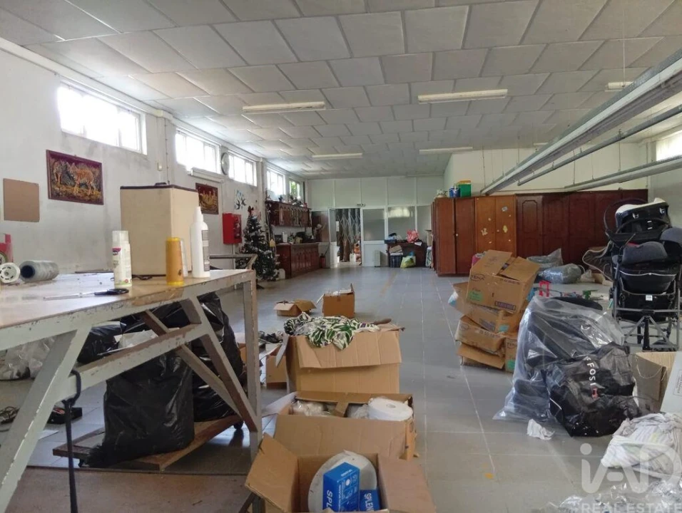 Terreno para Venda em Ucha Foto 15