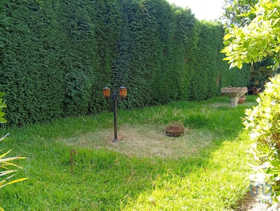 Terreno para Venda em Ucha Foto 4