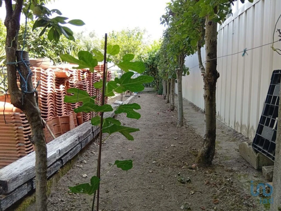 Terreno para Venda em Ucha Foto 3