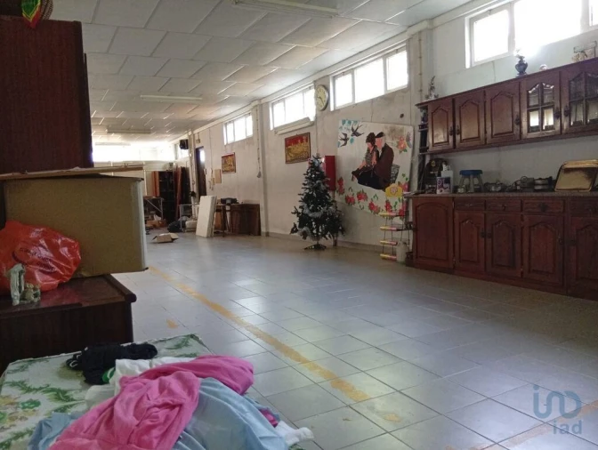 Terreno para Venda em Ucha Foto 2