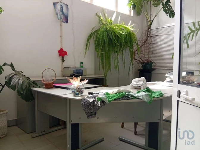 Terreno para Venda em Ucha Foto 5