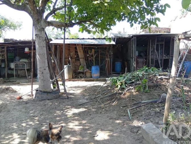 Terreno para Venda em Ucha Foto 22