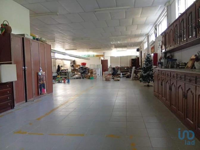 Terreno para Venda em Ucha Foto 8