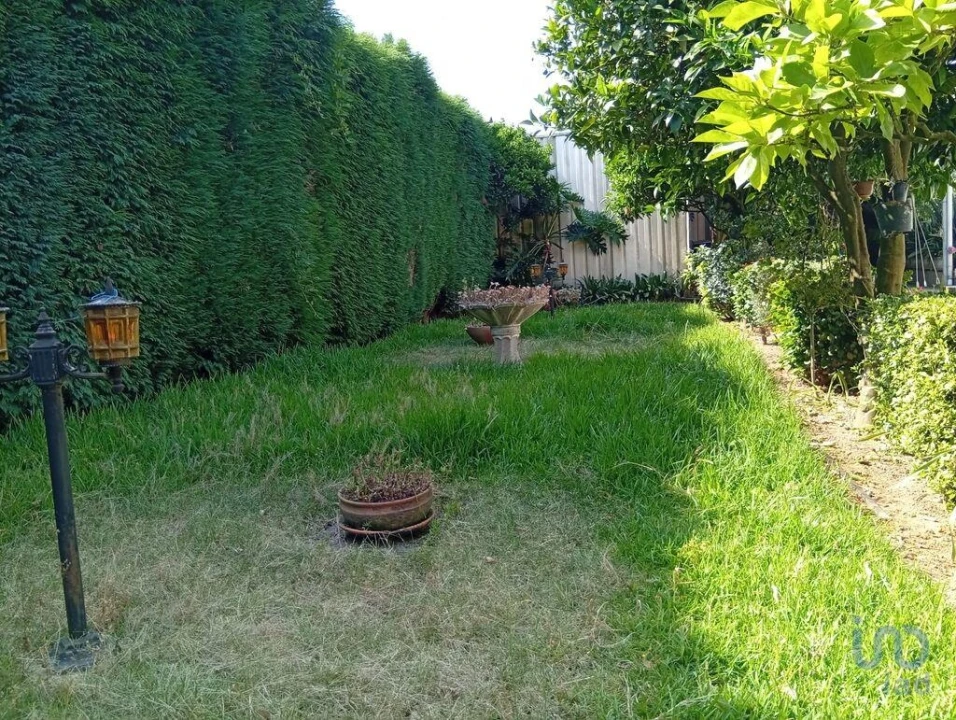 Terreno para Venda em Ucha Foto 9