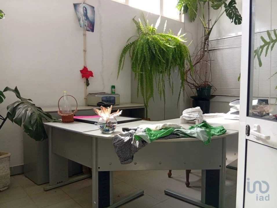 Terreno para Venda em Ucha Foto 5