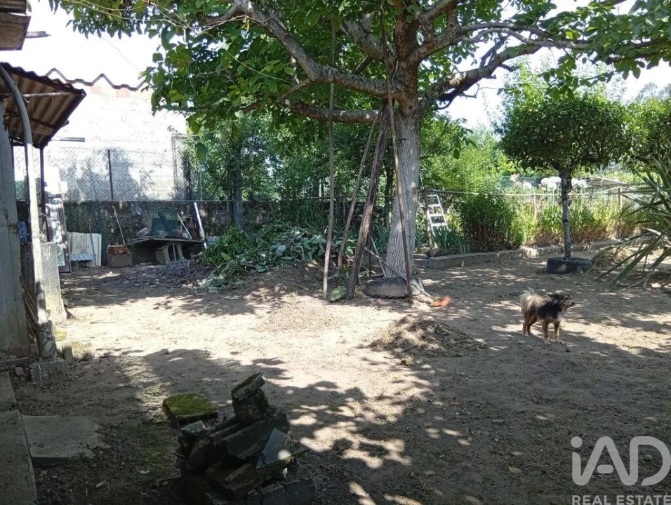 Terreno para Venda em Ucha Foto 27
