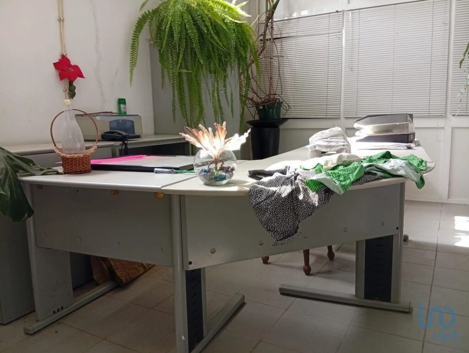 Terreno para Venda em Ucha Foto 10