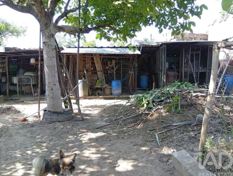 Terreno para Venda em Ucha Foto 22