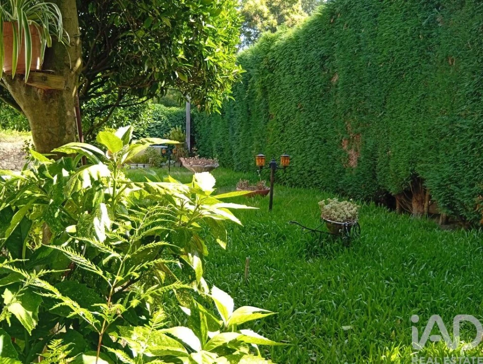 Terreno para Venda em Ucha Foto 20