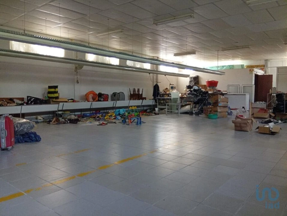 Terreno para Venda em Ucha Foto 14