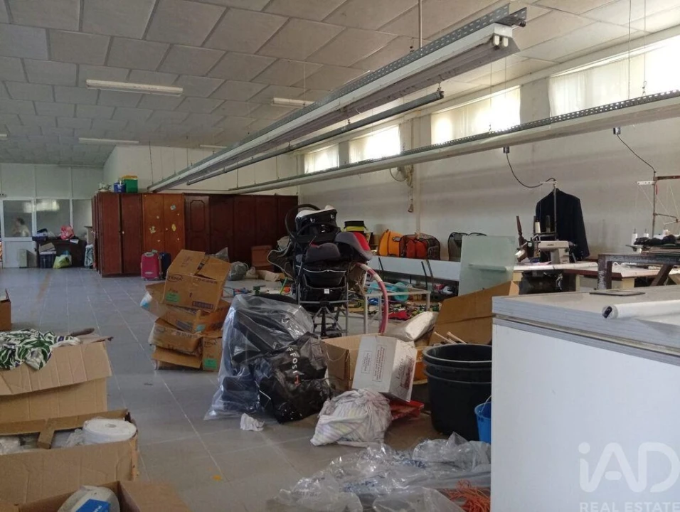 Terreno para Venda em Ucha Foto 16