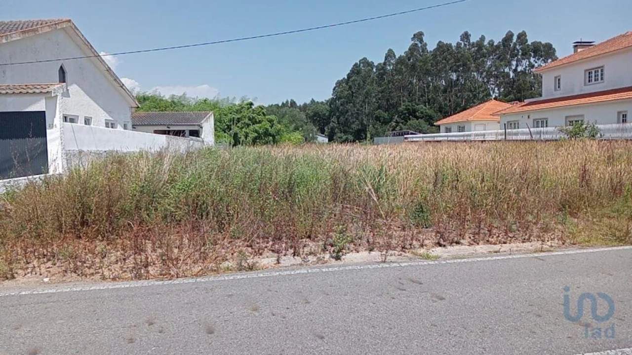 Terreno para Venda em Ílhavo (São Salvador) Foto 2