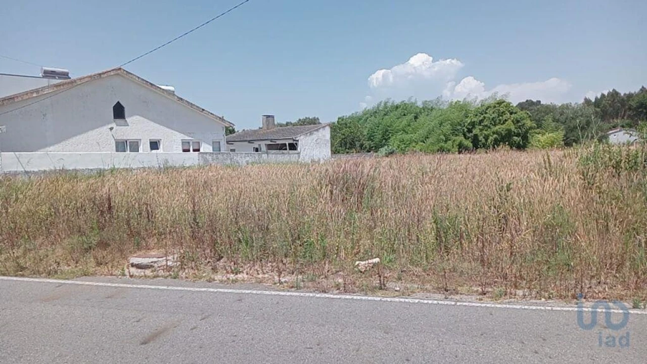 Terreno para Venda em Ílhavo (São Salvador) Foto 3