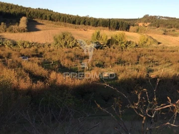 Terreno para Venda em Lourinhã e Atalaia