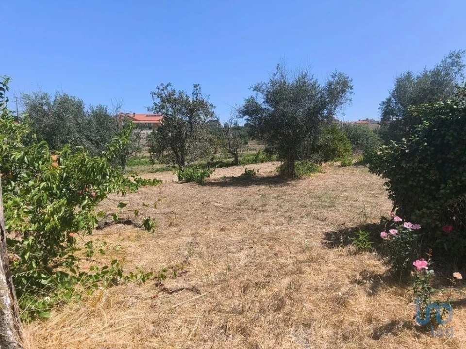 Moradia para Venda em Travancinha Foto 1