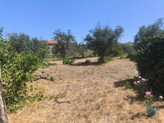 Moradia para Venda em Travancinha Foto 1