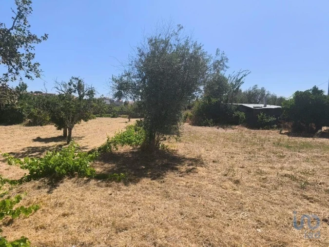 Moradia para Venda em Travancinha Foto 9