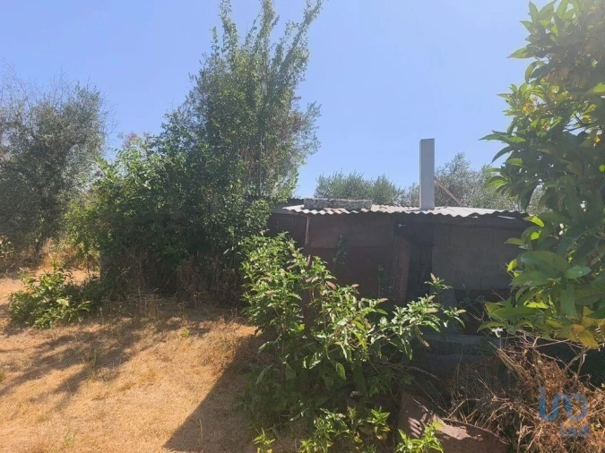 Moradia para Venda em Travancinha Foto 5