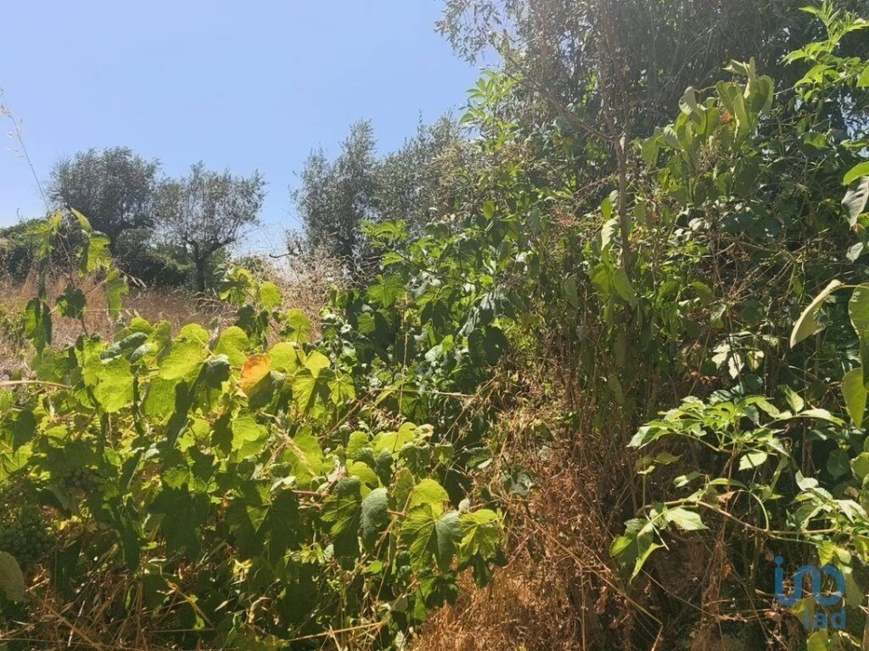 Moradia para Venda em Travancinha Foto 4