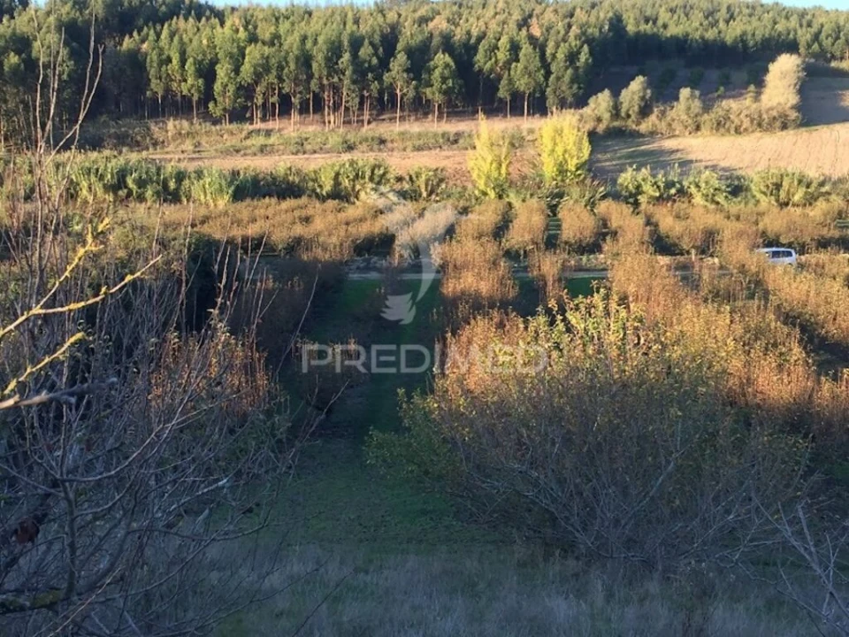 Terreno para Venda em Lourinhã e Atalaia Foto 2