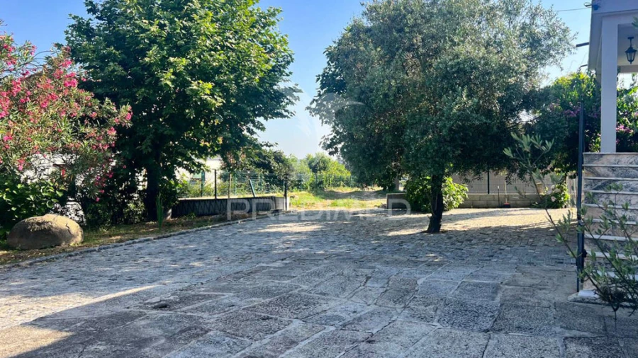 Moradia T3 para Venda em Macieira da Lixa e Caramos Foto 14