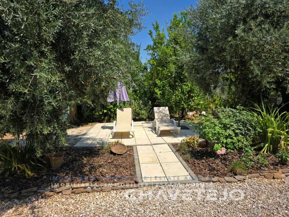 Moradia T3 para Venda em Areias e Pias Foto 43