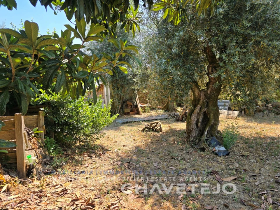 Moradia T3 para Venda em Areias e Pias Foto 54