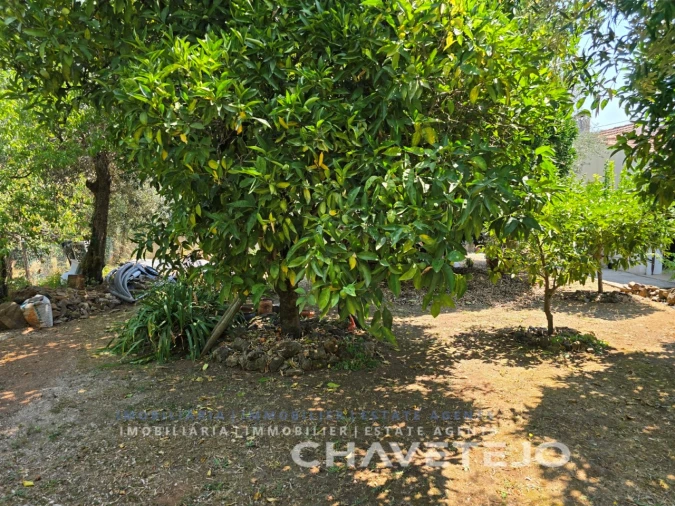 Moradia T3 para Venda em Areias e Pias Foto 47