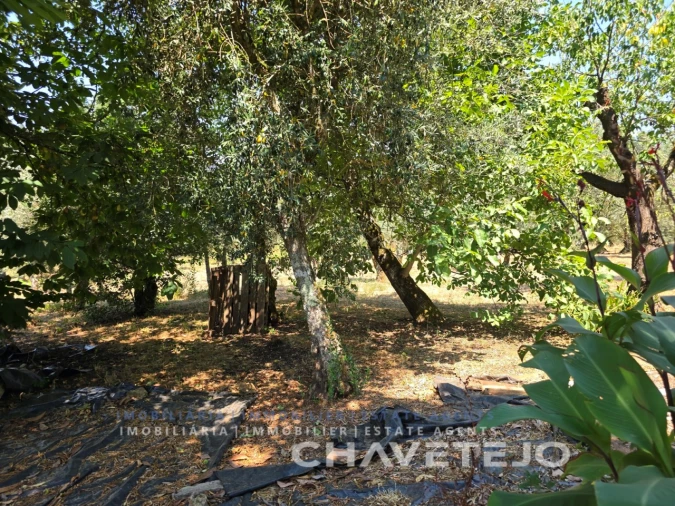 Moradia T3 para Venda em Areias e Pias Foto 52