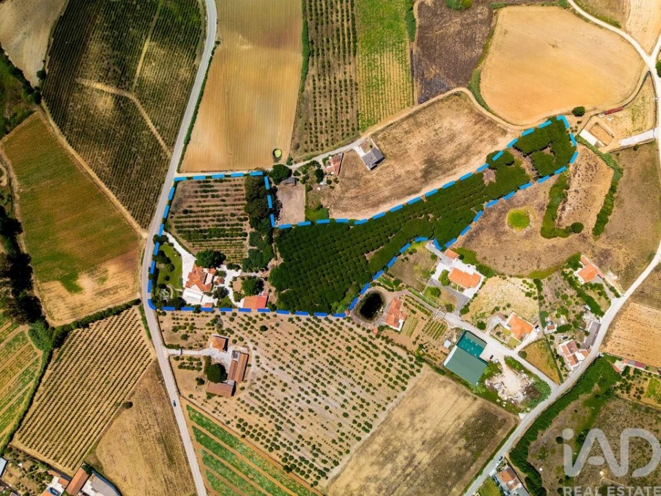 Moradia T4 para Venda em Moita dos Ferreiros Foto 8