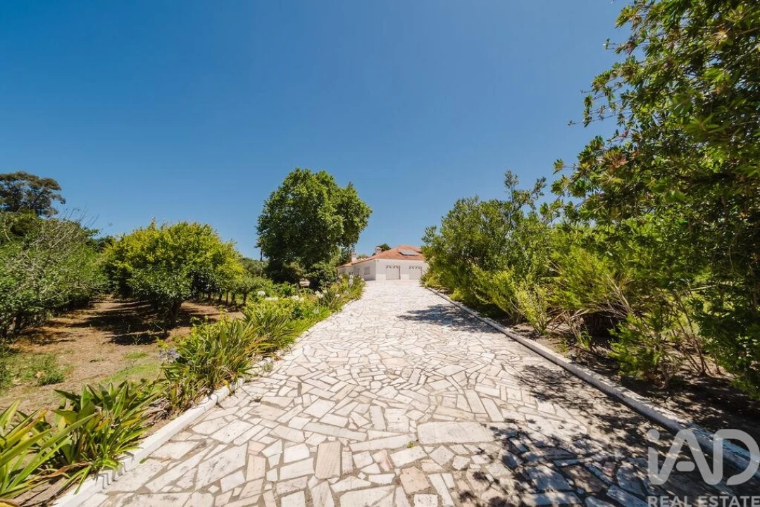 Moradia T4 para Venda em Moita dos Ferreiros Foto 28