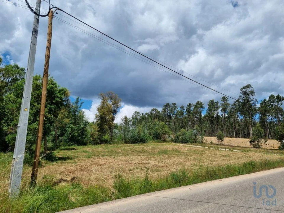 Terreno para Venda em Poiares (Santo Andre) Foto 14