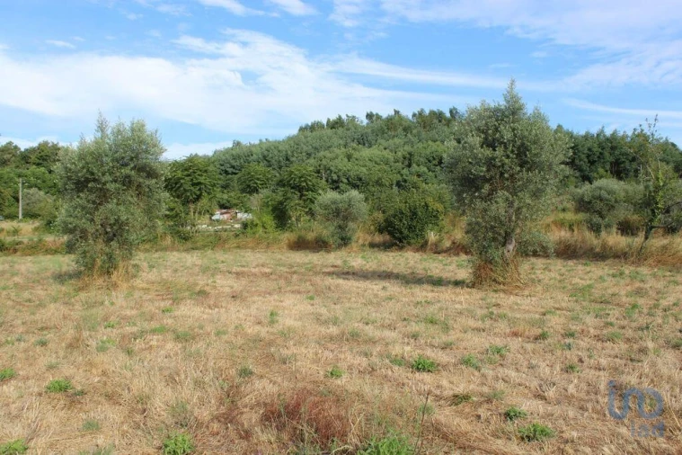 Terreno para Venda em Bobadela Foto 5