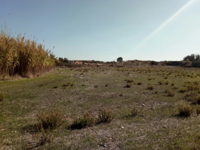 Terreno para Arrendamento em Almargem do Bispo, Pêro Pinheiro e Montelavar Foto 1