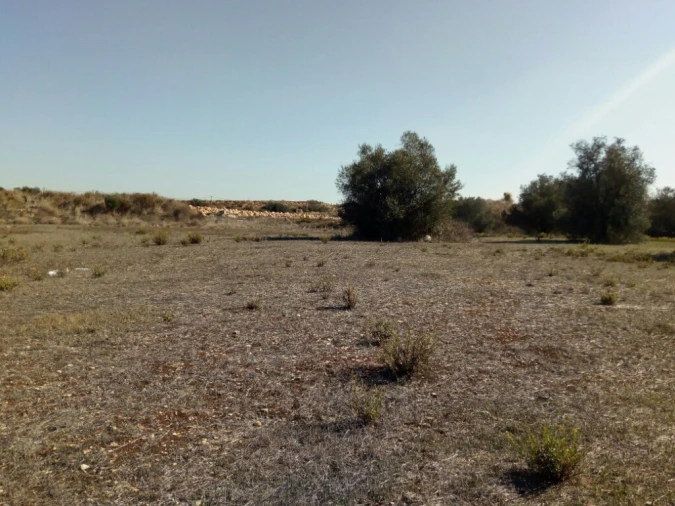 Terreno para Arrendamento em Almargem do Bispo, Pêro Pinheiro e Montelavar Foto 3