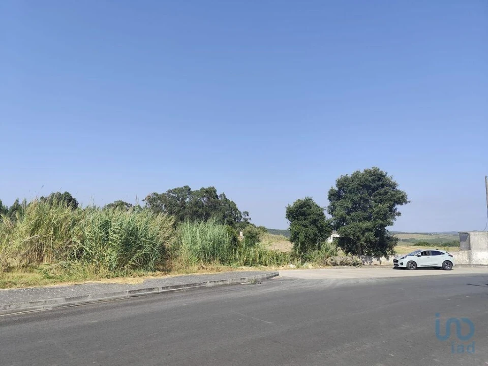 Terreno para Venda em Cadaval e Pêro Moniz Foto 12