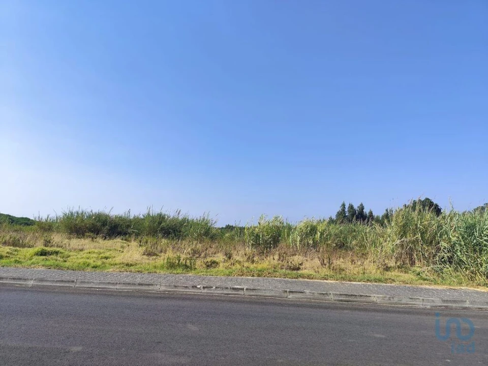 Terreno para Venda em Cadaval e Pêro Moniz Foto 14