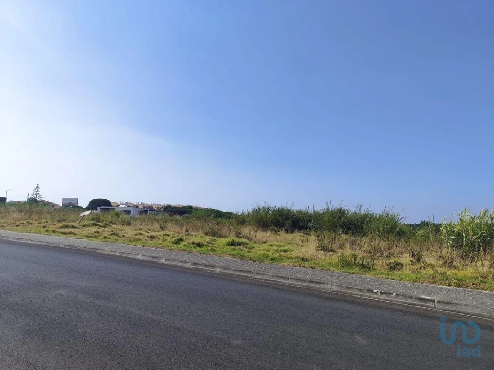 Terreno para Venda em Cadaval e Pêro Moniz Foto 1