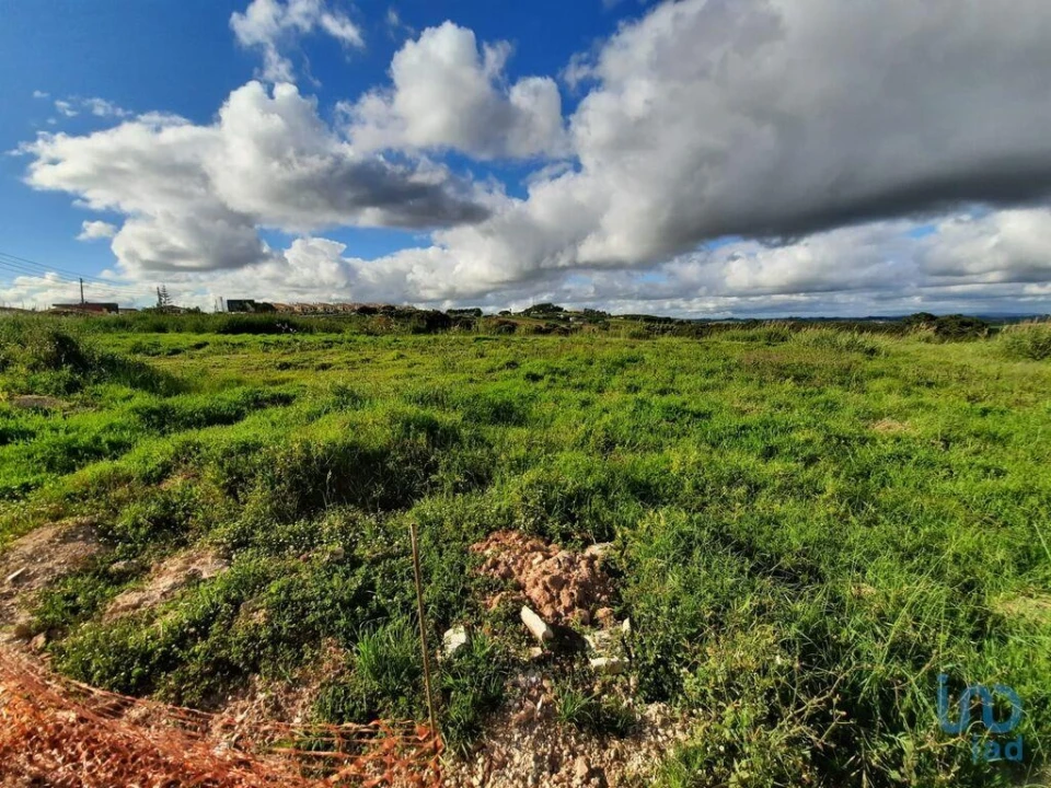 Terreno para Venda em Cadaval e Pêro Moniz Foto 10