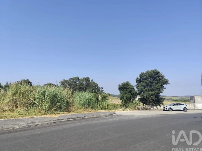 Terreno para Venda em Cadaval e Pêro Moniz Foto 23