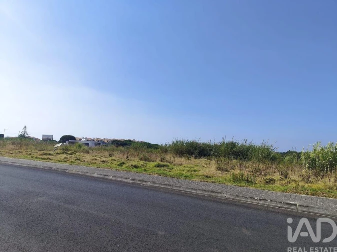 Terreno para Venda em Cadaval e Pêro Moniz Foto 22