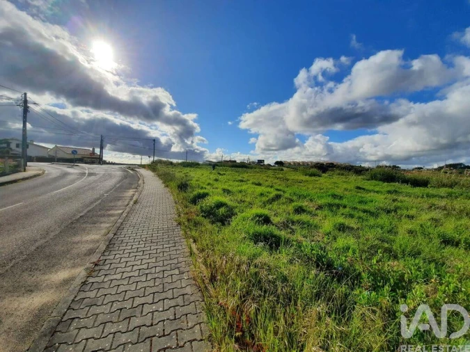 Terreno para Venda em Cadaval e Pêro Moniz Foto 17