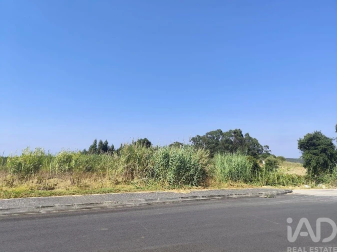 Terreno para Venda em Cadaval e Pêro Moniz Foto 24